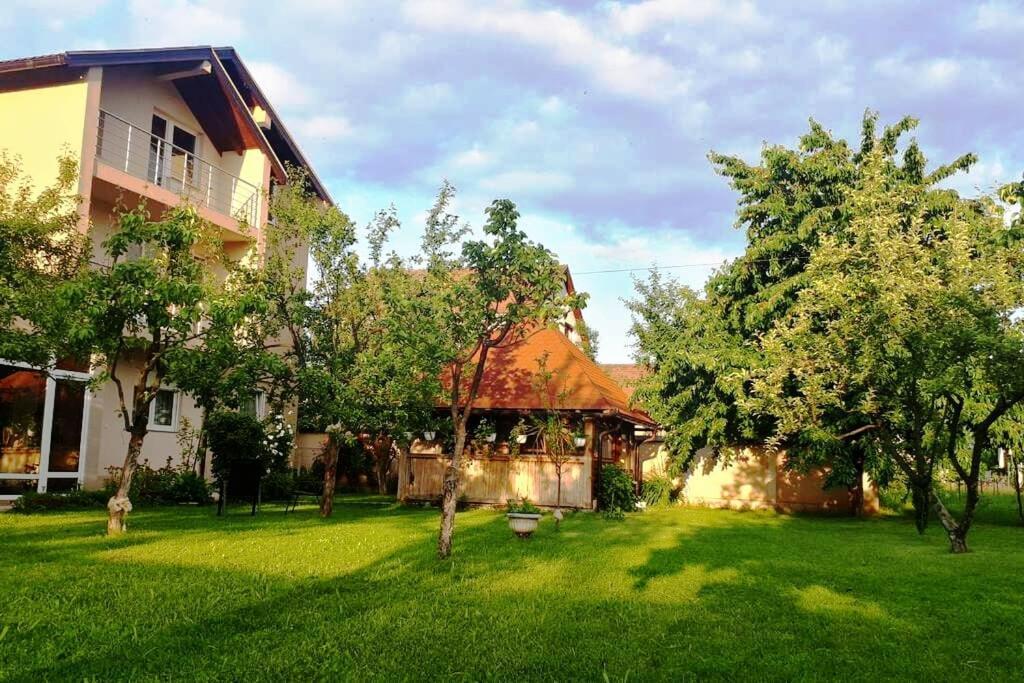 Majida Sarajevo