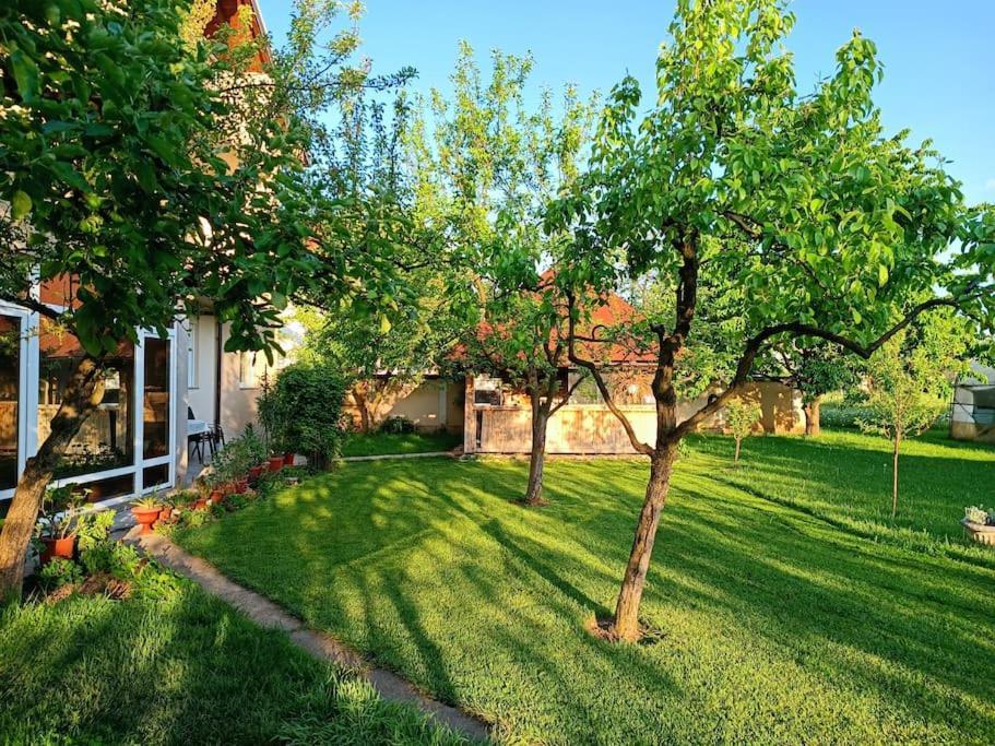 Villa Majida *